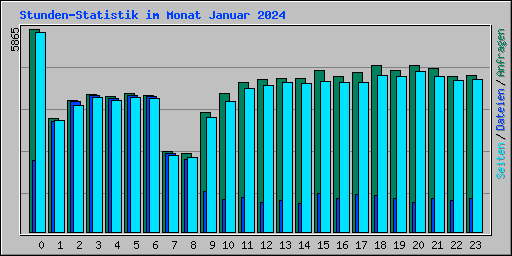 Stunden-Statistik im Monat Januar 2024