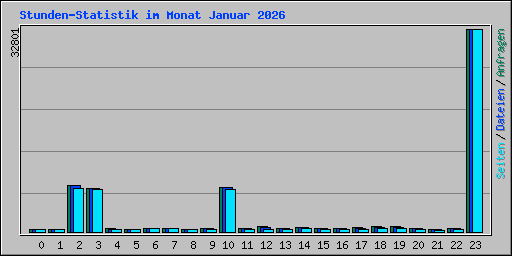 Stunden-Statistik im Monat Januar 2026